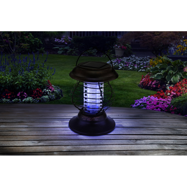 Fine Life Products Solar Powered Bug Zapper Lantern & Reviews Wayfair.ca